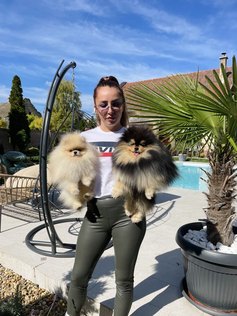 lola pom superstar