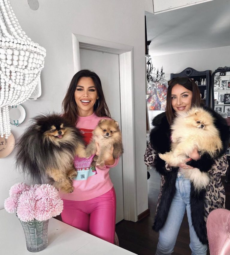 Odgajivacnica pomeranaca i pudli Lola Pom Superstar Beograd